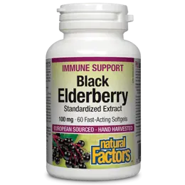 Black Elderberry Standardized Extract - Черен бъз /Стандартизиран екстракт/