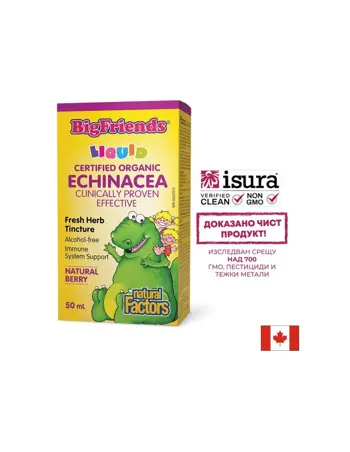 Natural Factors Echinacea BigFriends® – Имунна подкрепа за деца и възрастни, 1000 mg, 50 ml