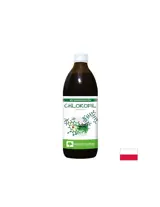 Хлорофил – Естествен детокс и алкален баланс, 45 mg, 500 ml, 33 дози