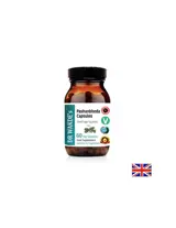 DR WAKDE's Pashanbheda Capsules (Saxifraga ligulata) В подкрепа на отделителната система х 60 капсули