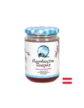 Подсилва имунитета Комбуча Чаена гъба с ферментирал плодов чай 200 ml